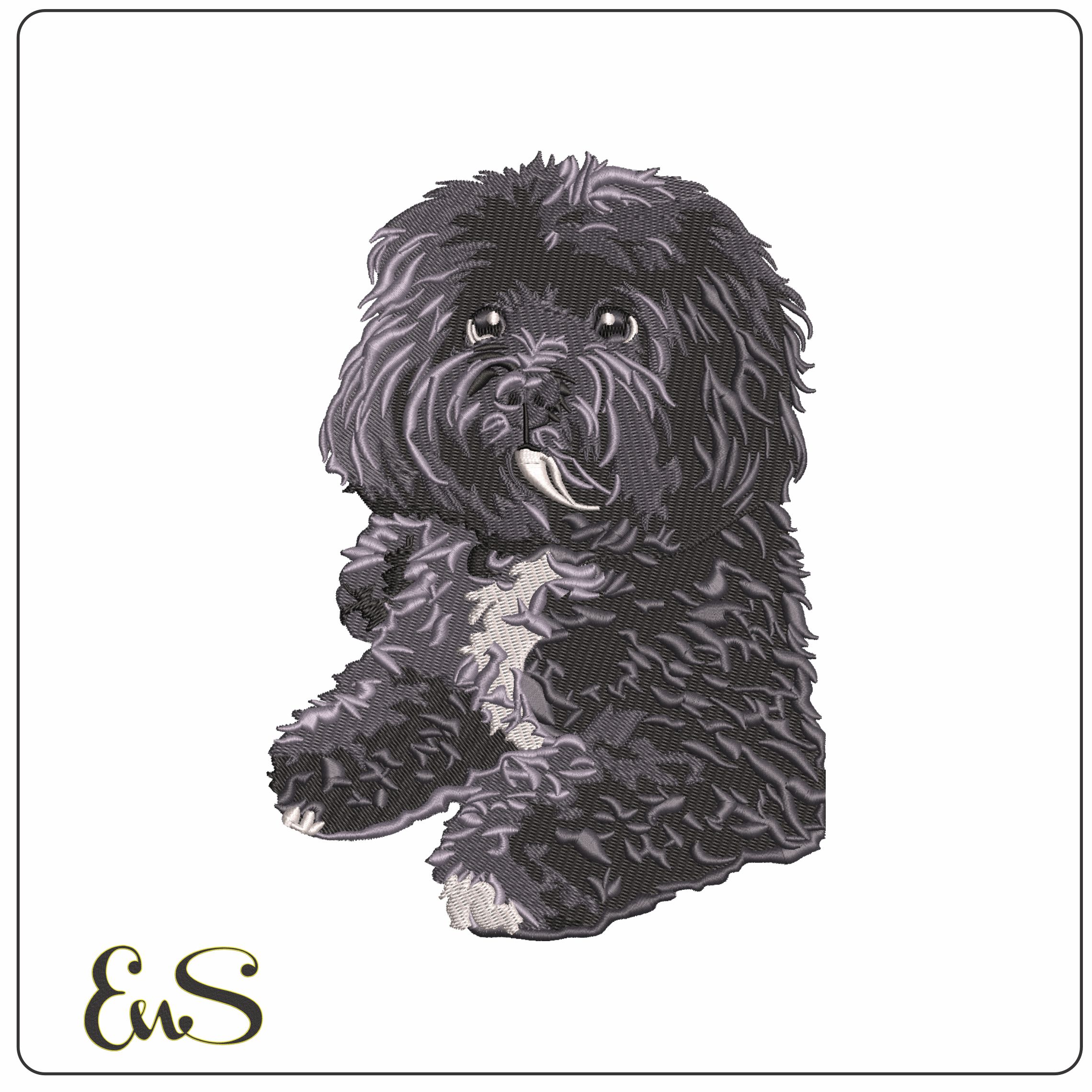 Havanese Dog Sitting Down   - Elegant embroidery design file - instant download