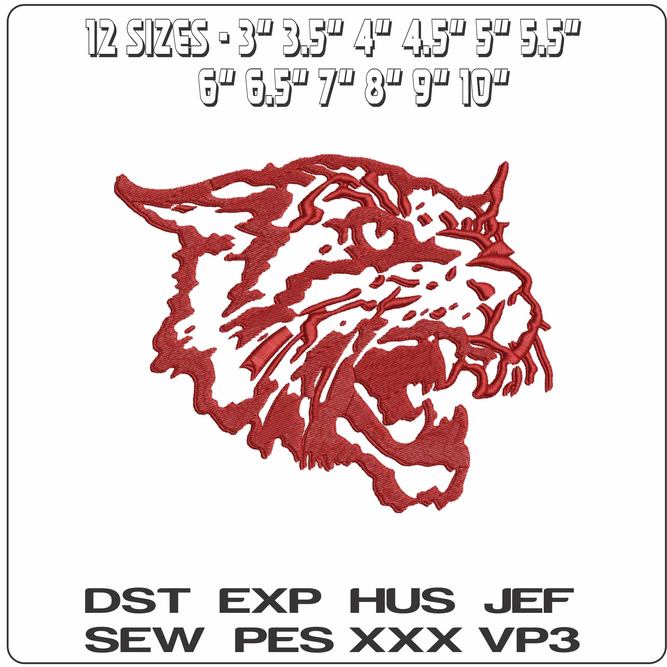 Bethune Cookman Wildcats 2000 to 2015  University    - Elegant embroidery design file-instant download — view 2
