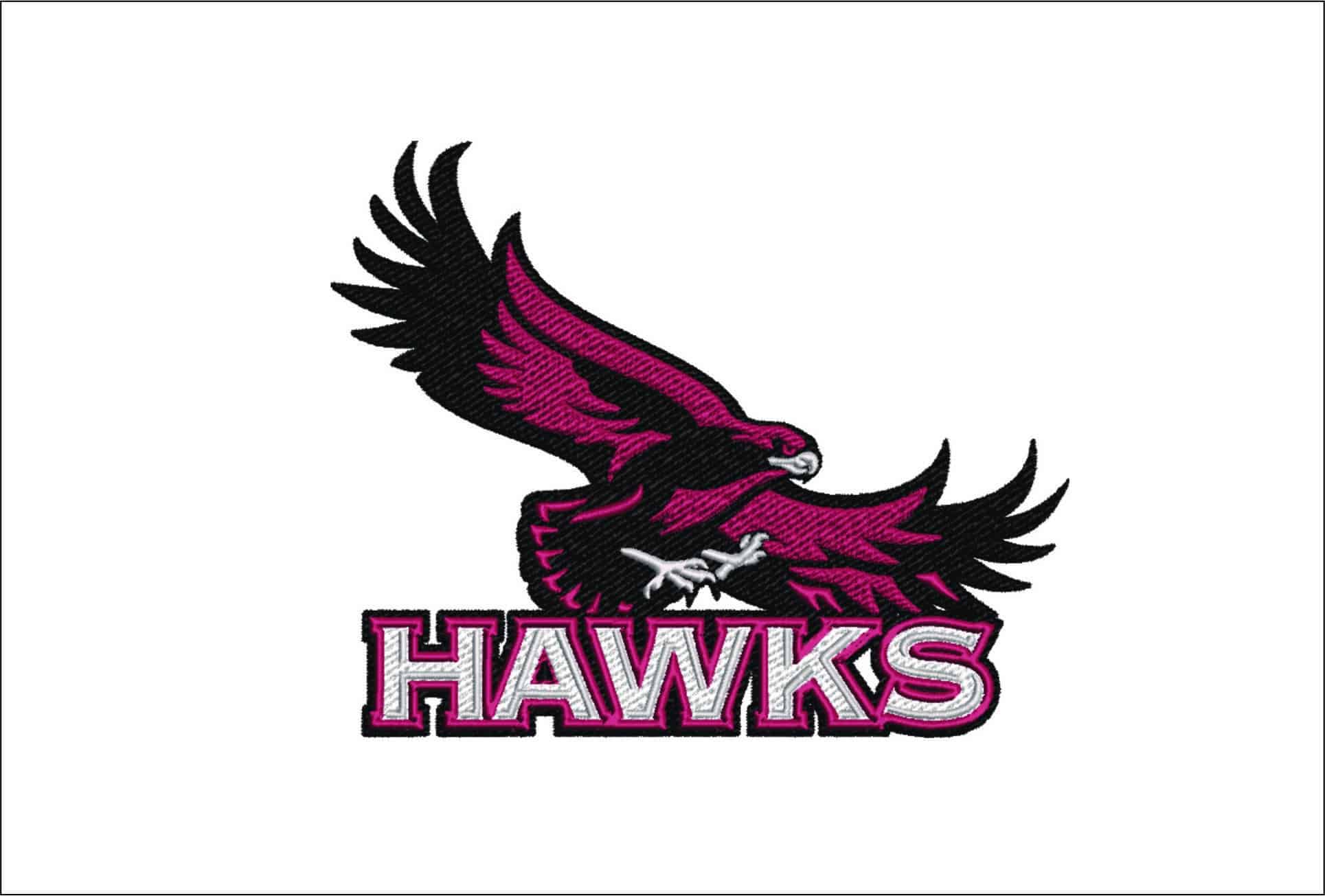 St-Josephs Hawks Logo embroidery design - St-Josephs Hawks Logo  embroidery machine pattern embroidery file - instant download
