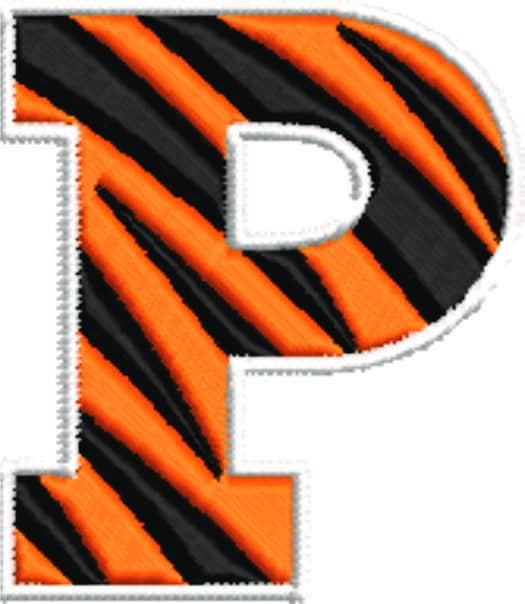 Princeton embroidery design - Princeton University New Jersey Logo embroidery machine pattern embroidery file - instant download