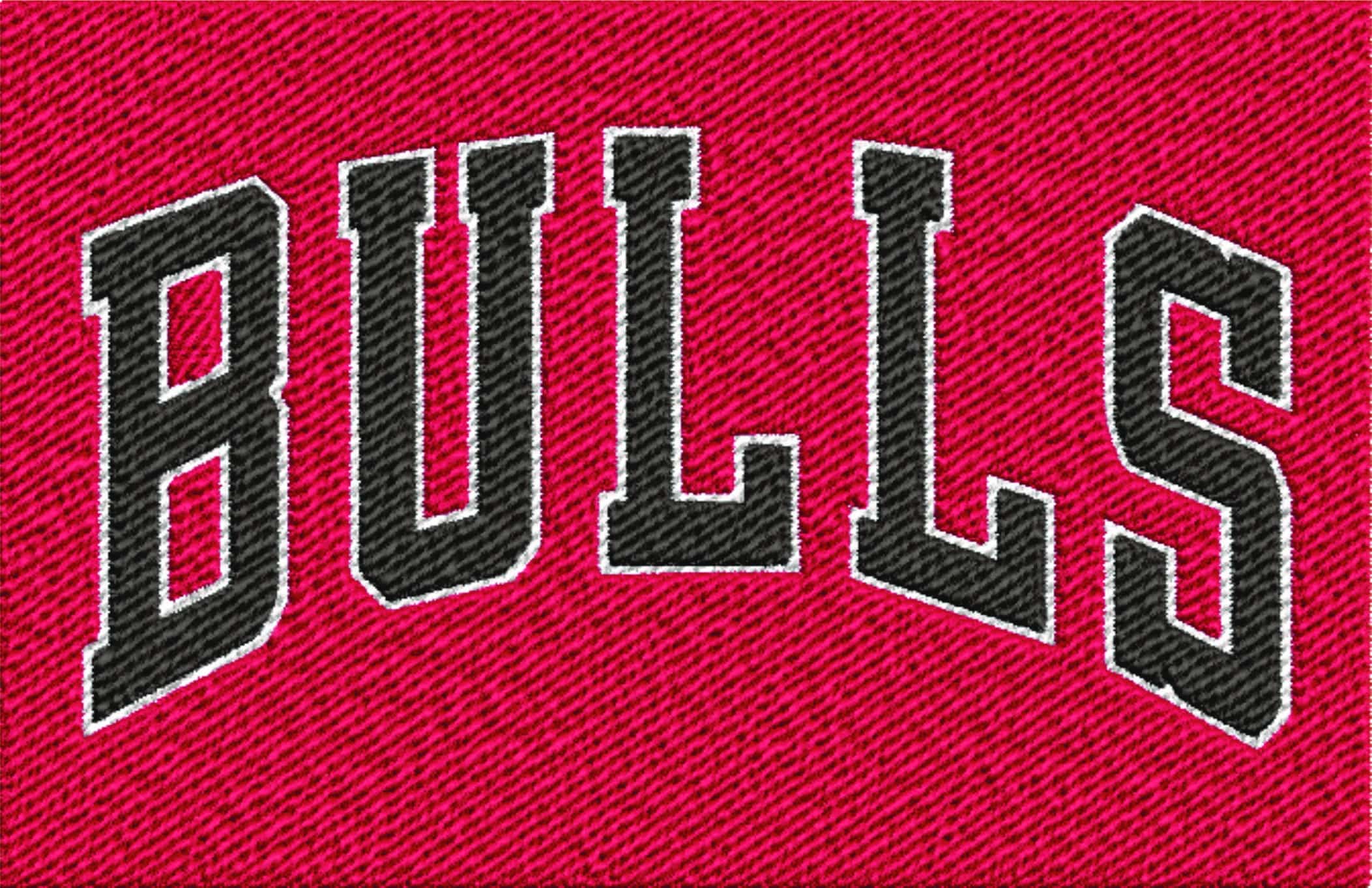 Chicago Bulls Jersey NBA Logo  embroidery design -United Center Arena- embroidery  machine pattern embroidery file - instant download — view 2