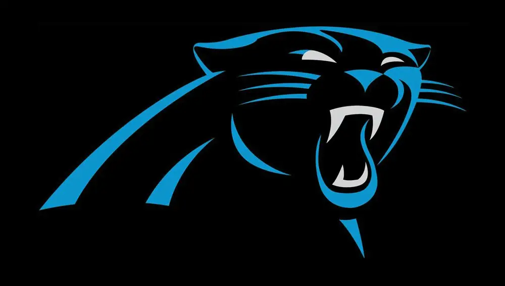 Carolina Panthers Outline NFL embroidery design -Bank of America Stadium  men's football embroidery machine pattern embroidery file - instant download — view 5