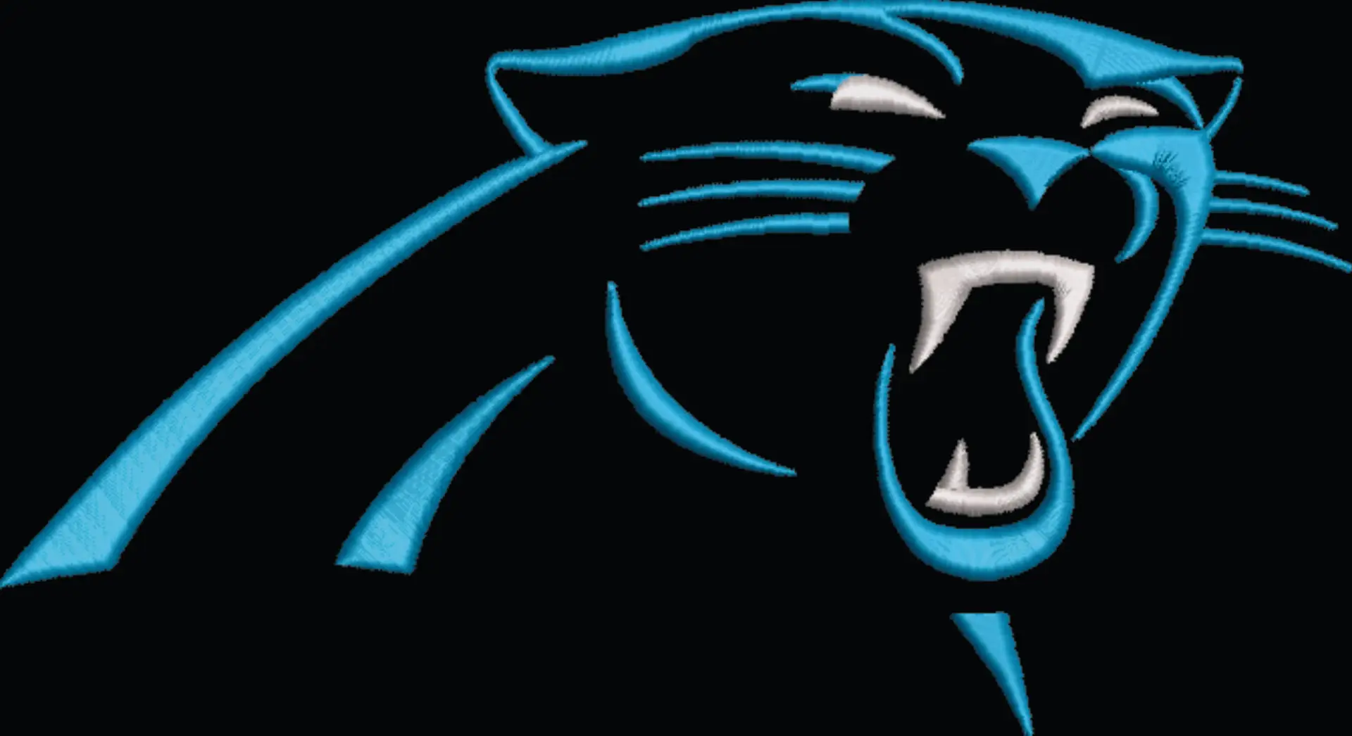 Carolina Panthers Outline NFL embroidery design -Bank of America Stadium  men's football embroidery machine pattern embroidery file - instant download — view 4
