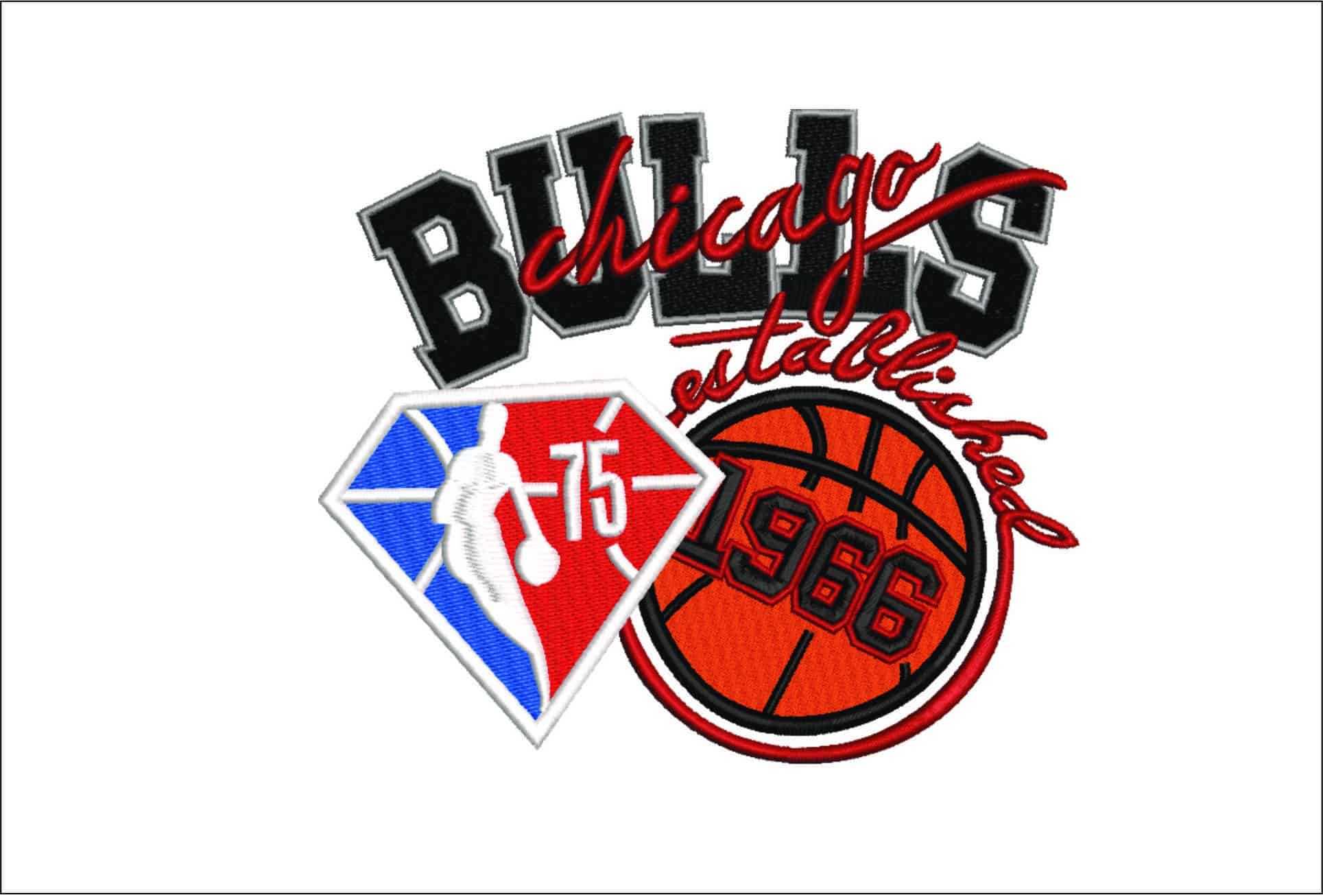 Chicago Bulls Established 1966- Elegant embroidery design file - instant download