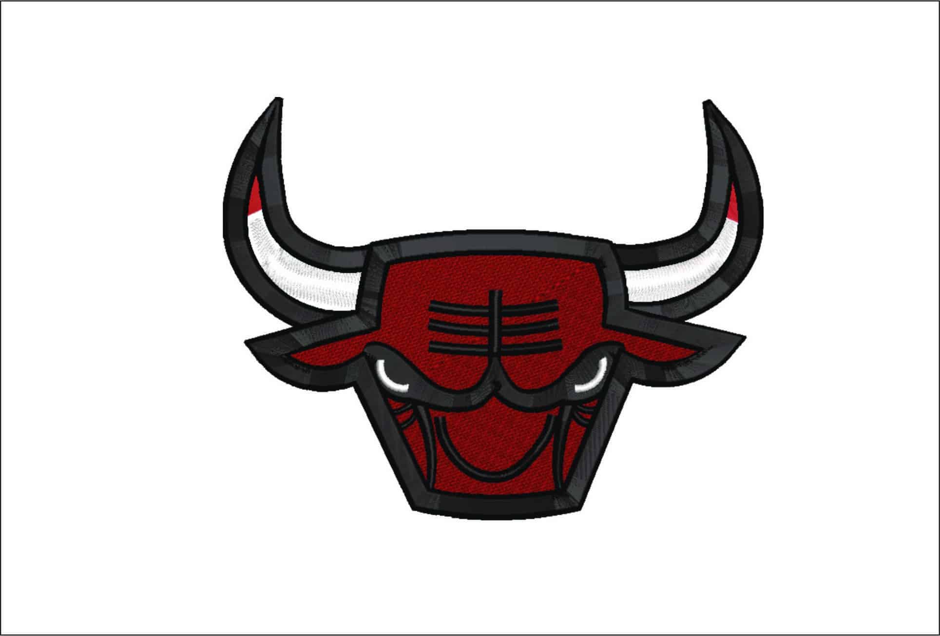 Chicago Bulls Eyes and Horns- Elegant embroidery design file - instant download