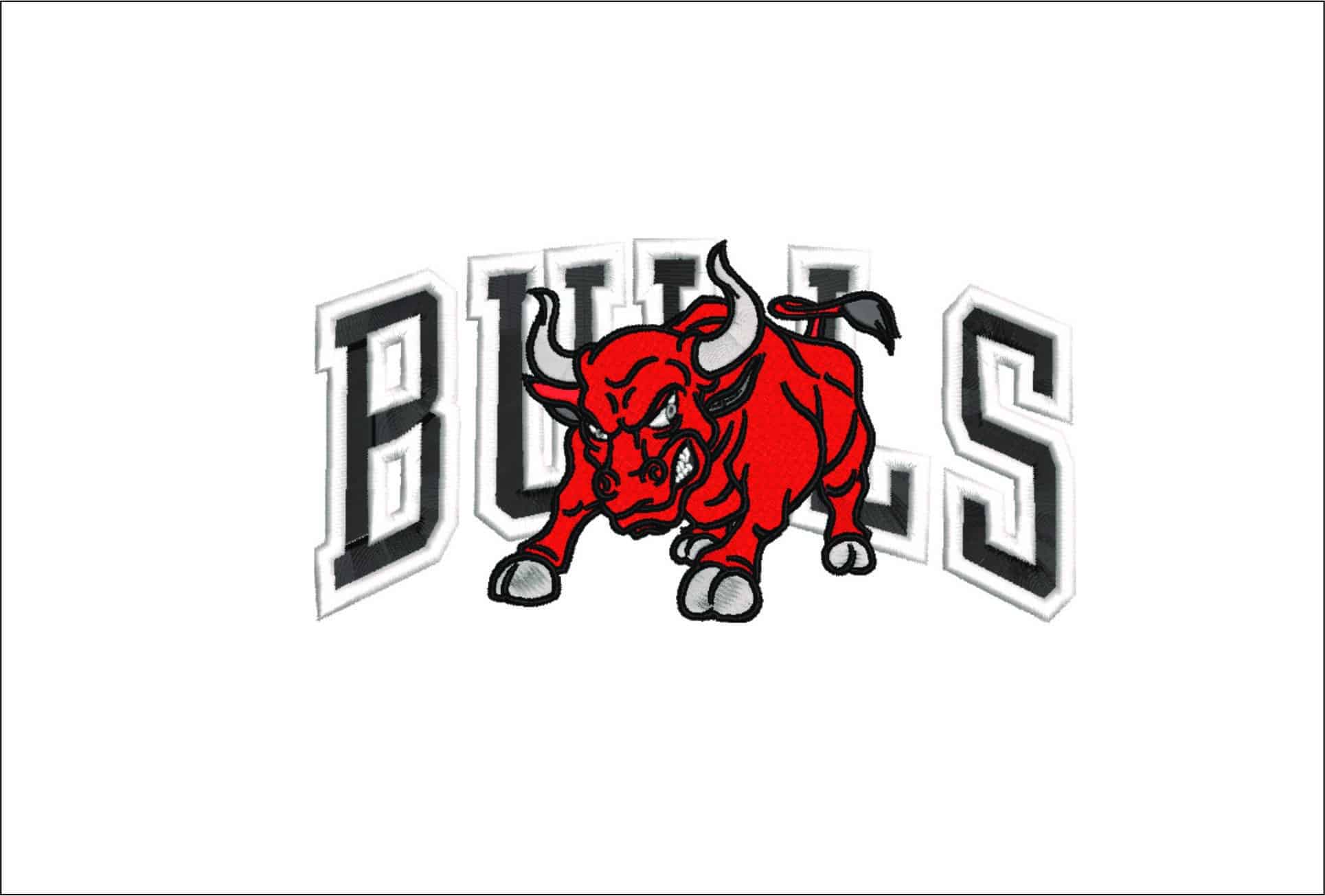 Chicago Charging Bulls- Elegant embroidery design file - instant download