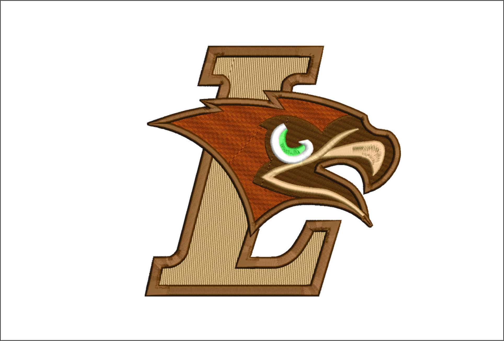 Lehigh Mountain Hawks no Name embroidery design - Lehigh Mountain University, Bethlehem embroidery machine pattern embroidery file - instant download in a frame