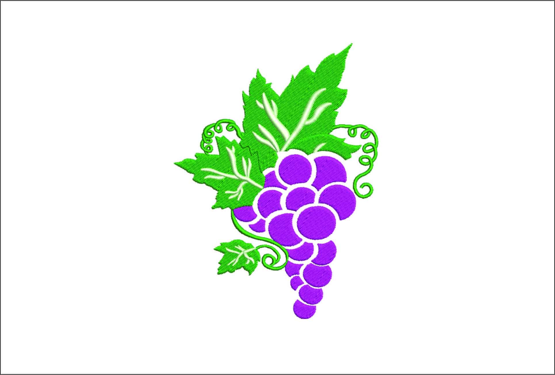 Sommelier Grapes and Vine- Elegant embroidery design file - instant download