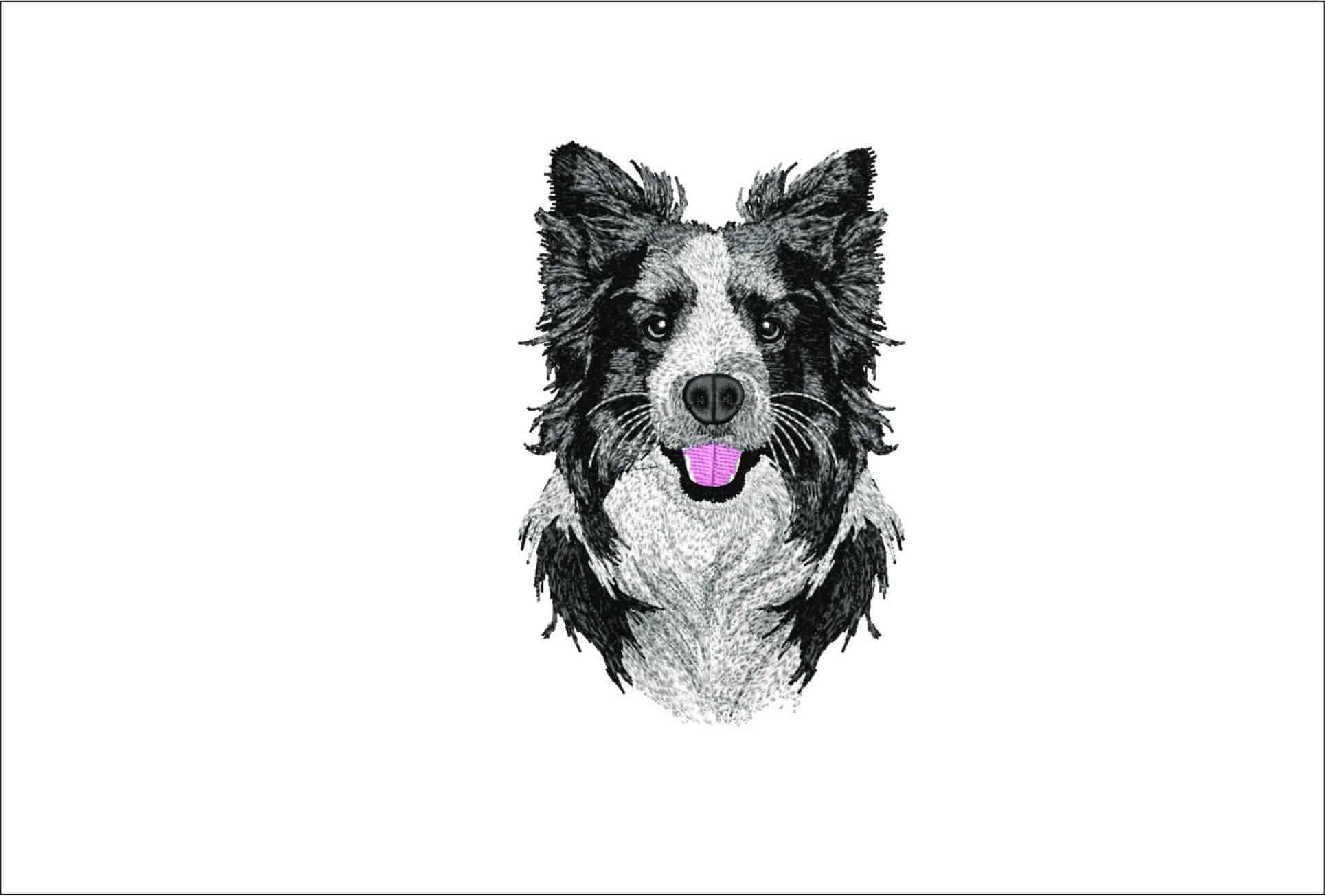 Border Collie Dog- Elegant embroidery design file - instant download
