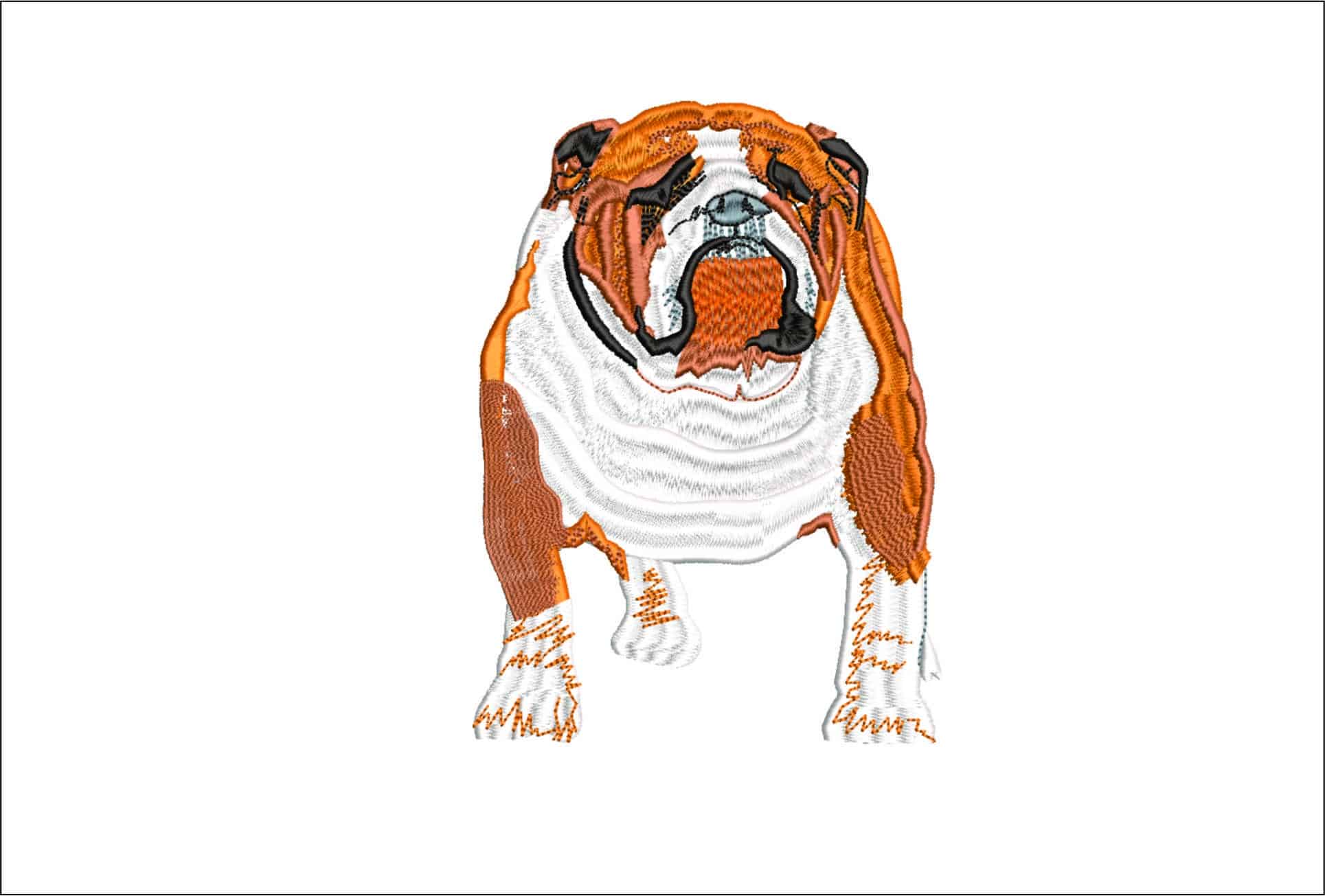 Butch Bulldog- Elegant embroidery design file - instant download