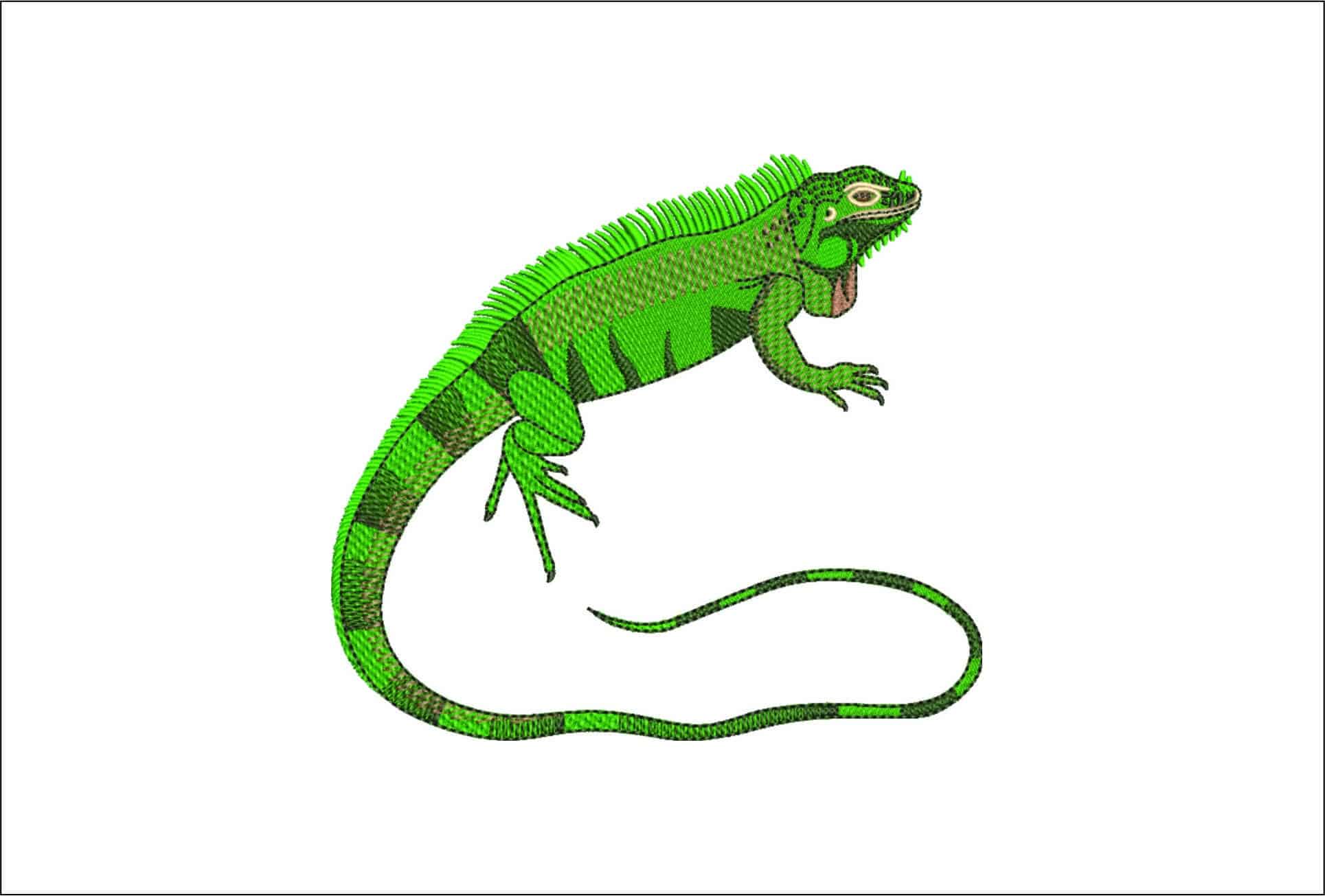 Iguana- Elegant embroidery design file - instant download