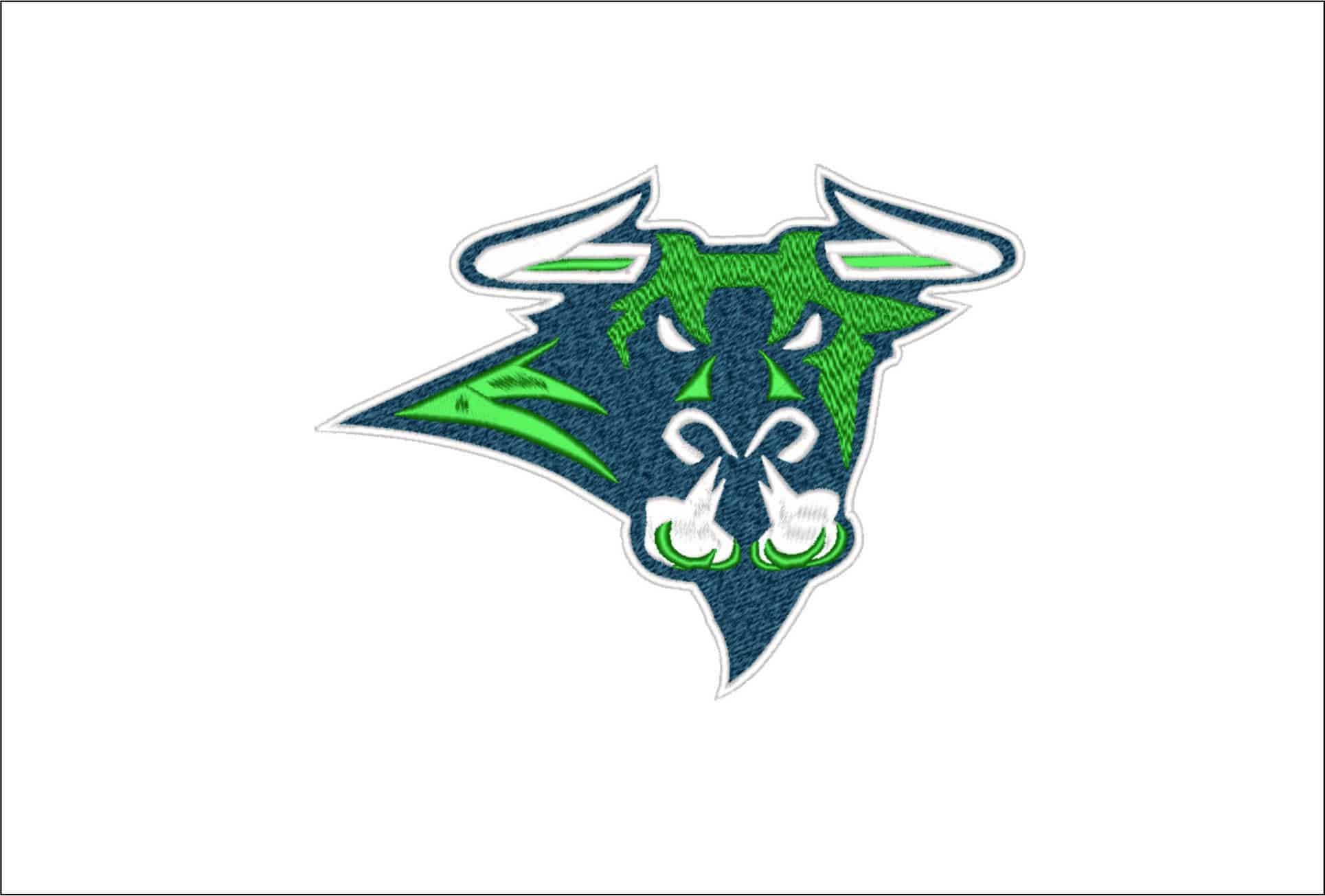 Mason City Toro Bull-Elegant embroidery design file - instant download