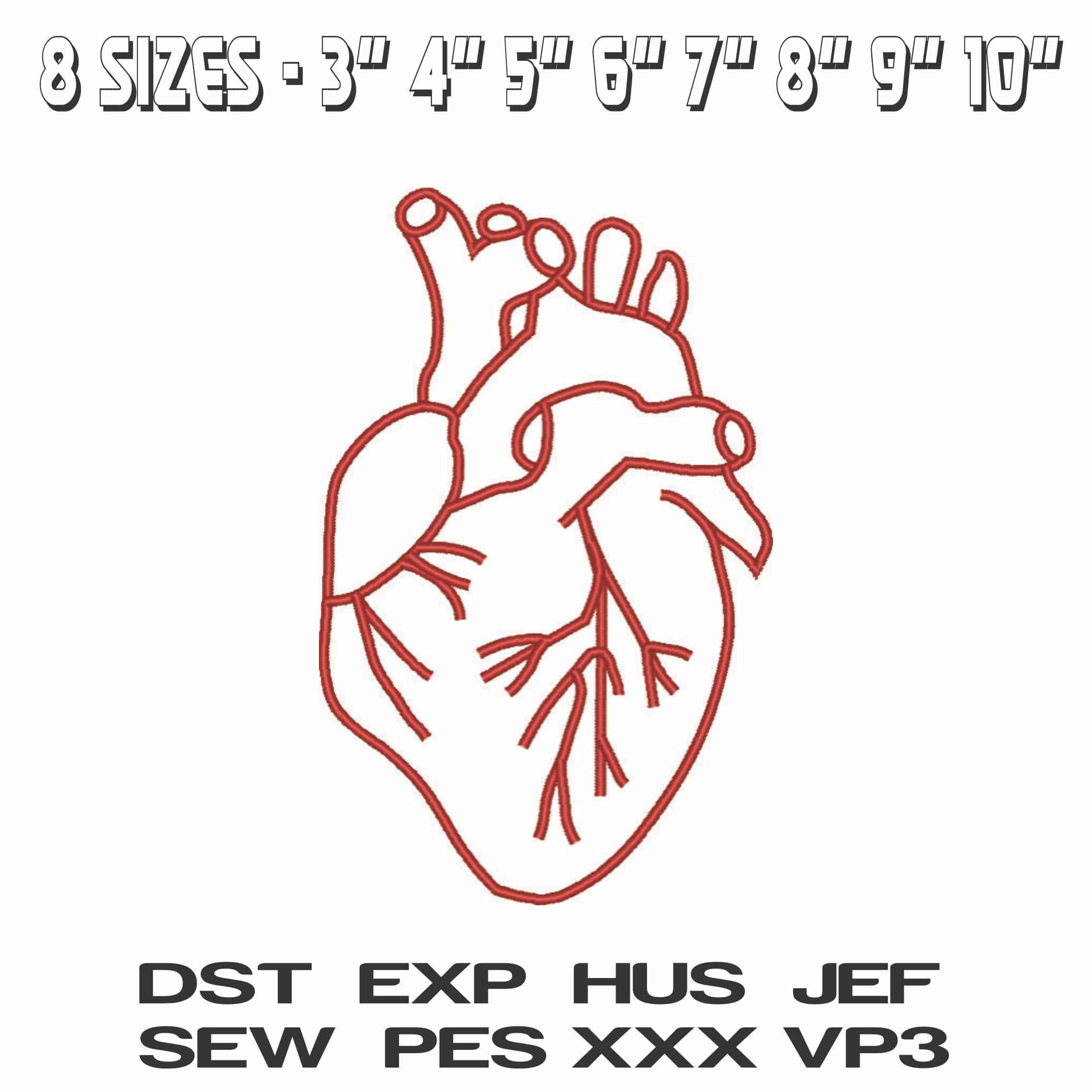 Heart Diagram-Elegant embroidery design file - instant download — view 2