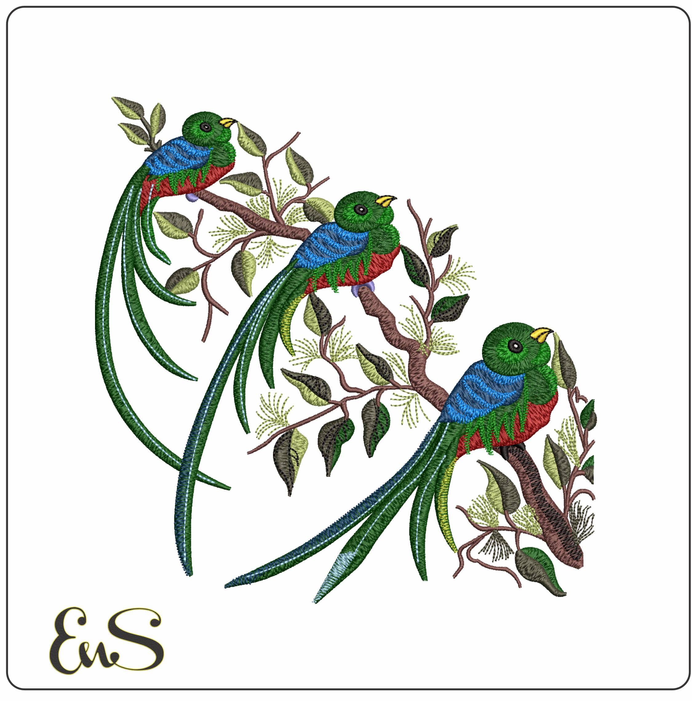 Green birds in a branch - Elegant embroidery design file - instant download