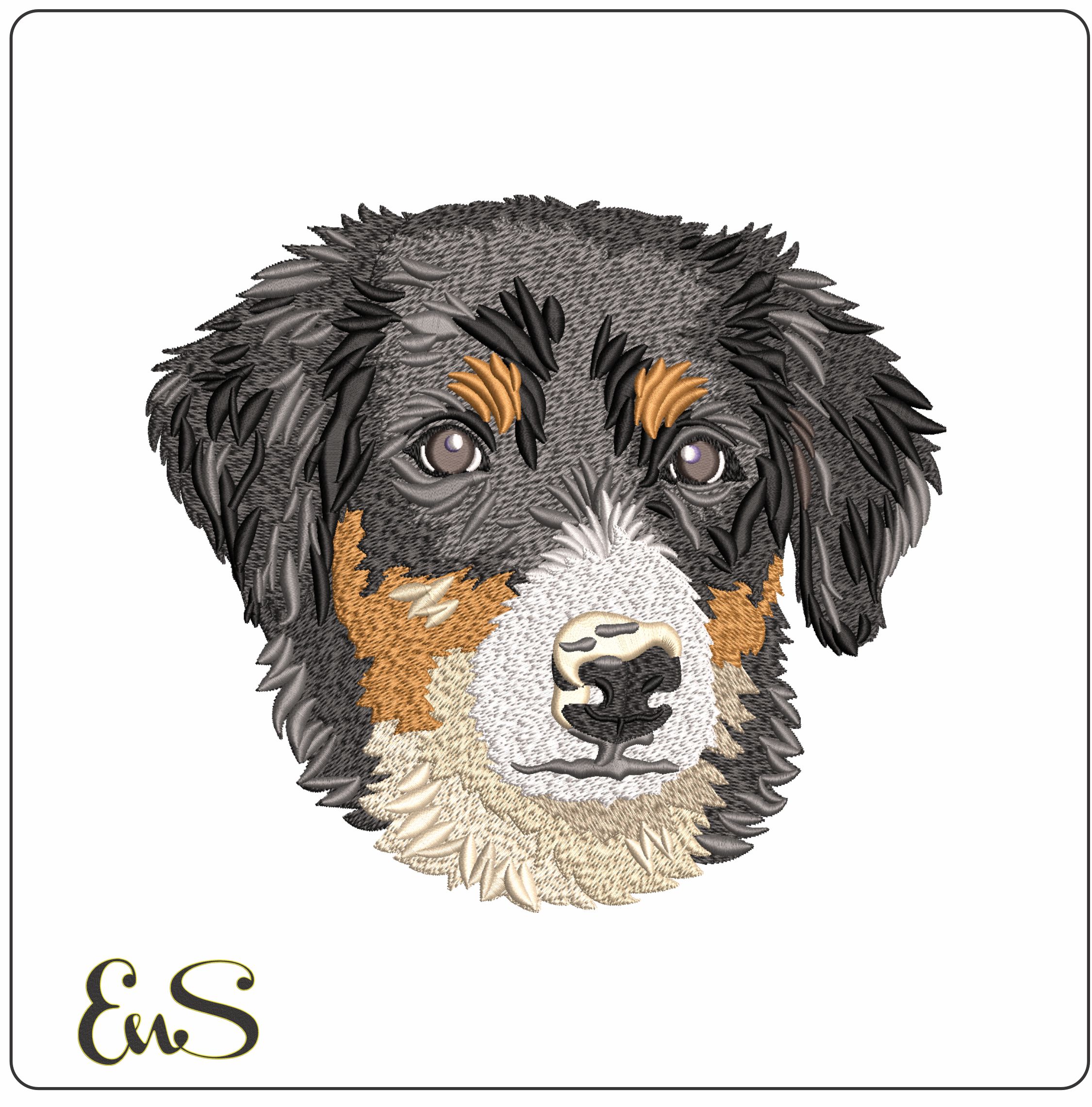 Bernese Puppy Face    - Elegant embroidery design file - instant download